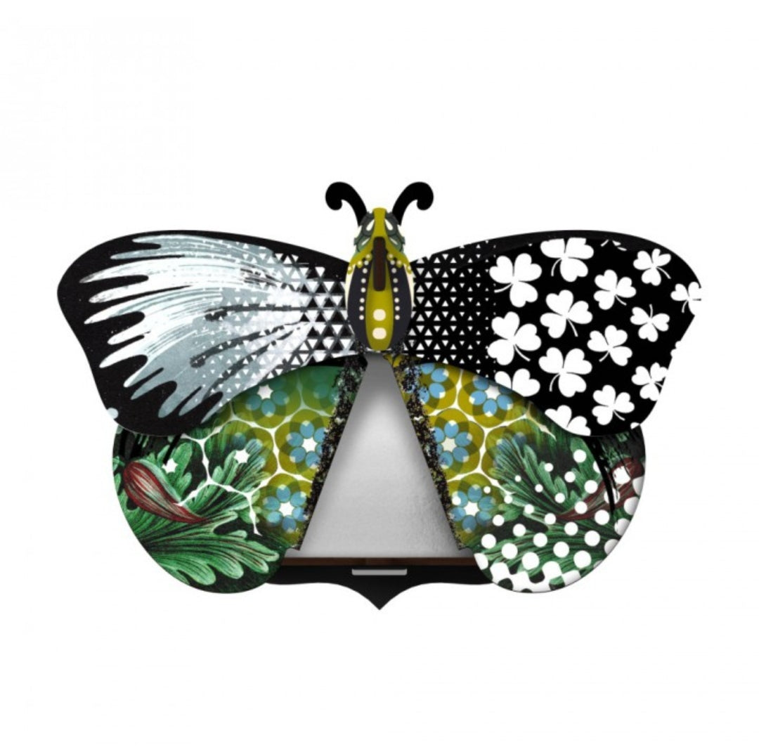 Papillon  miroir Aida